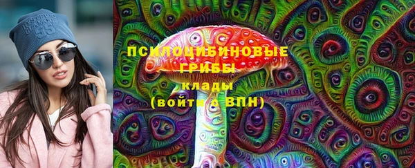 PSILOCYBIN Богородицк
