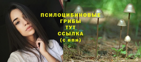трава Богданович
