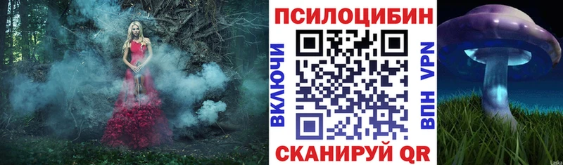 Галлюциногенные грибы Cubensis Высоцк